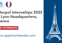 Interpol Paid Internships 2025