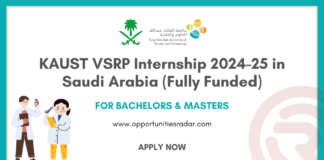 KAUST VSRP Internship 2024