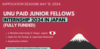 UNU Paid Junior Fellows Internship 2024