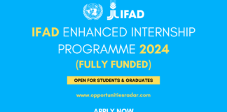 IFAD Enhanced Internship Programme 2024