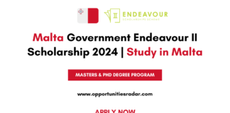 Malta Government Endeavour II Scholarship 2024