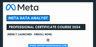 Meta Data Analyst Professional Certificate Course 2024