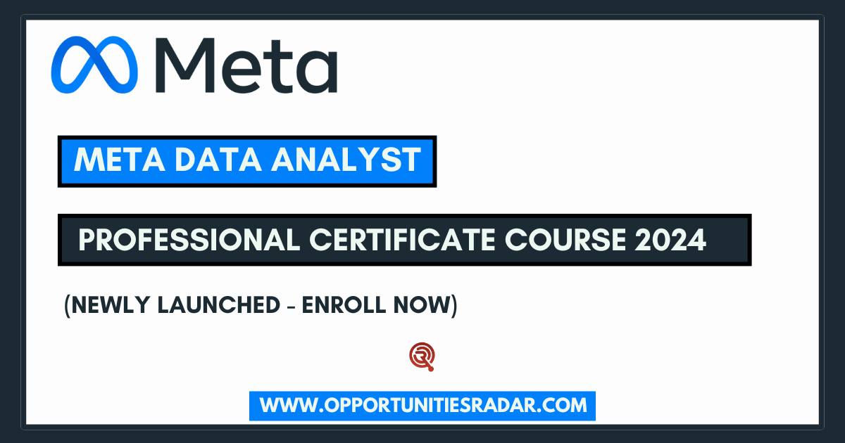 Meta Data Analyst Professional Certificate Course 2024