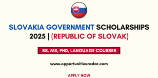 Slovakia Government Scholarships 2025