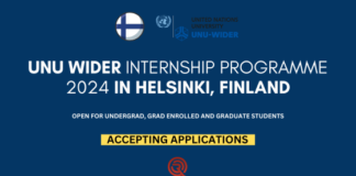 UNU Wider Internship Programme 2024