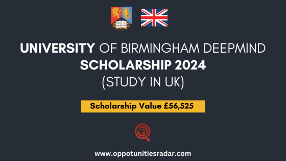 University of Birmingham DeepMind Scholarship 2024