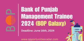 Bank of Punjab Management Trainee 2024