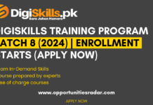 Digiskills Training Program Batch 8 (2024)