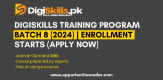 Digiskills Training Program Batch 8 (2024)