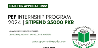 PEF Internship Program 2024