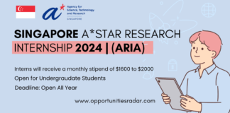 Singapore AStar Research Internship 2024