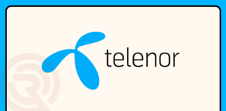 Telenor Summer Internship 2024