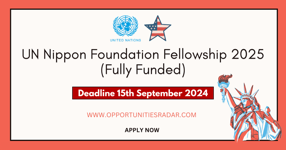 UN Nippon Foundation Fellowship 2025
