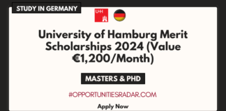 University of Hamburg Merit Scholarships 2024