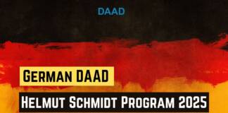 German DAAD Helmut Schmidt Program 2025