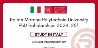 Marche Polytechnic University PhD Scholarships 2024