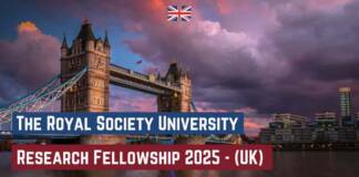 Royal Society University Research Fellowship 2025