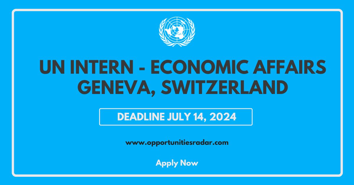 UN Economic Affairs Internship 2024