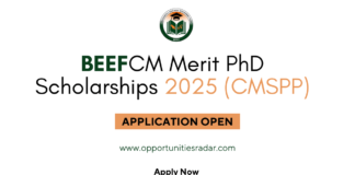 BEEF CM Merit PhD Scholarships 2025