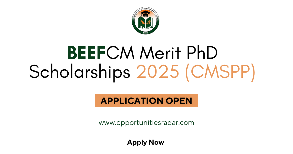 BEEF CM Merit PhD Scholarships 2025