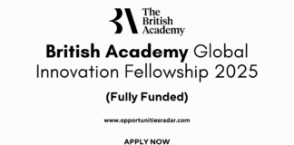 British Academy Global Innovation Fellowship 2025