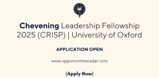 Chevening Leadership Fellowship 2025