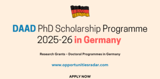 DAAD PhD Scholarship Programme 2025