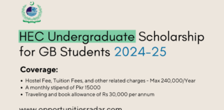 HEC Undergraduate Scholarship for GB Students 2024