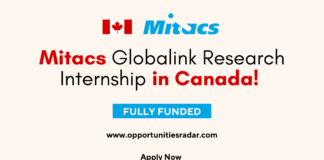 Mitacs Globalink Research Internship 2025