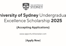 Sydney Undergraduate Excellence Scholarship 2025 (2)