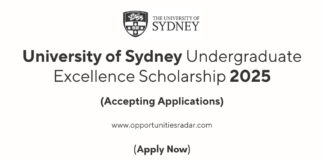 Sydney Undergraduate Excellence Scholarship 2025 (2)