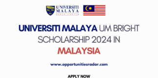 Universiti Malaya UM Bright Scholarship 2024