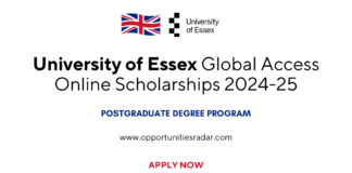 University of Essex Global Access Online Scholarships 2024