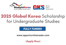 2025 Global Korea Scholarship for Undergraduate Studies