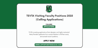 Bank Al Habib Graduate Trainee Officer 2025