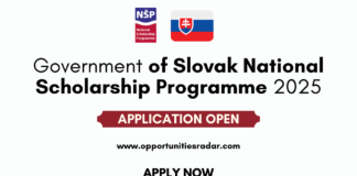 Slovak Republic National Scholarship Program 2024