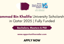 Hamad Bin Khalifa University Scholarship 2025