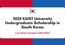 KAIST University Undergraduate Scholarship 2025