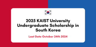 KAIST University Undergraduate Scholarship 2025