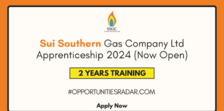 Sui Southern Gas Company Apprenticeship 2024