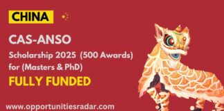 CAS-ANSO Scholarship 2025