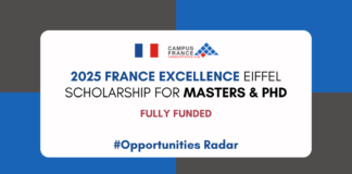 France Excellence Eiffel Scholarship