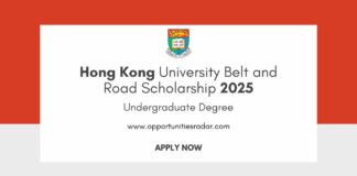 Hong Kong University Belt and Road Scholarship 2025