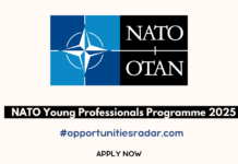 NATO Young Professionals Programme 2025