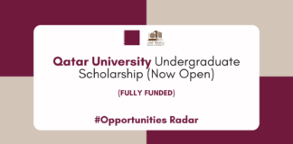 Qatar University Undergraduate Scholarship 2025