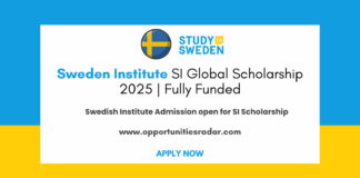 Sweden Institute SI Global Scholarship 2025