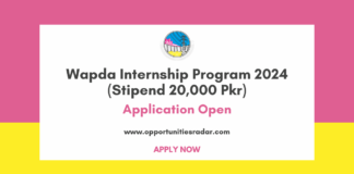 Wapda Internship Program 2024