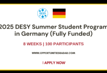 DESY Summer Student Program 2025