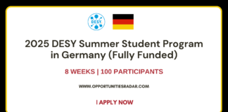 DESY Summer Student Program 2025