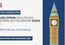 Developing Solutions Masters Scholarship 2025 (UK)